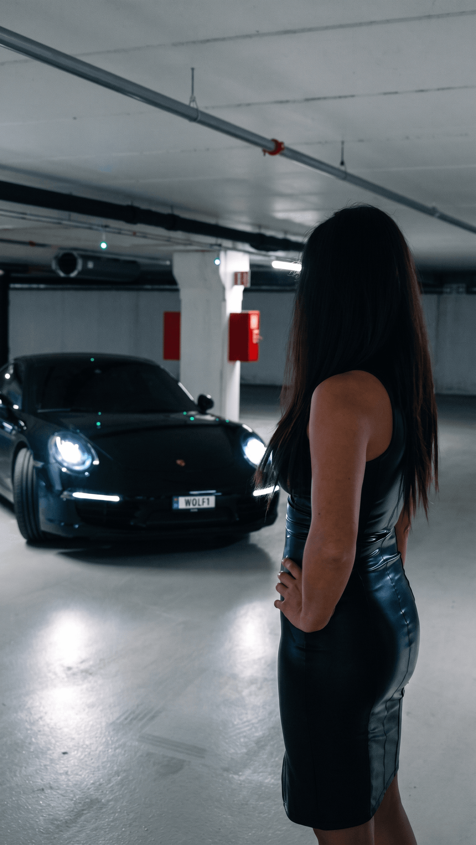 The Porsche Reveal